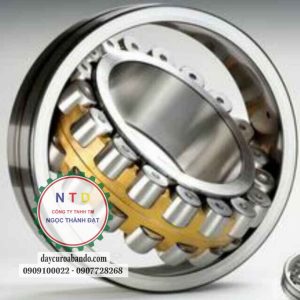 Bạc đạn SKF